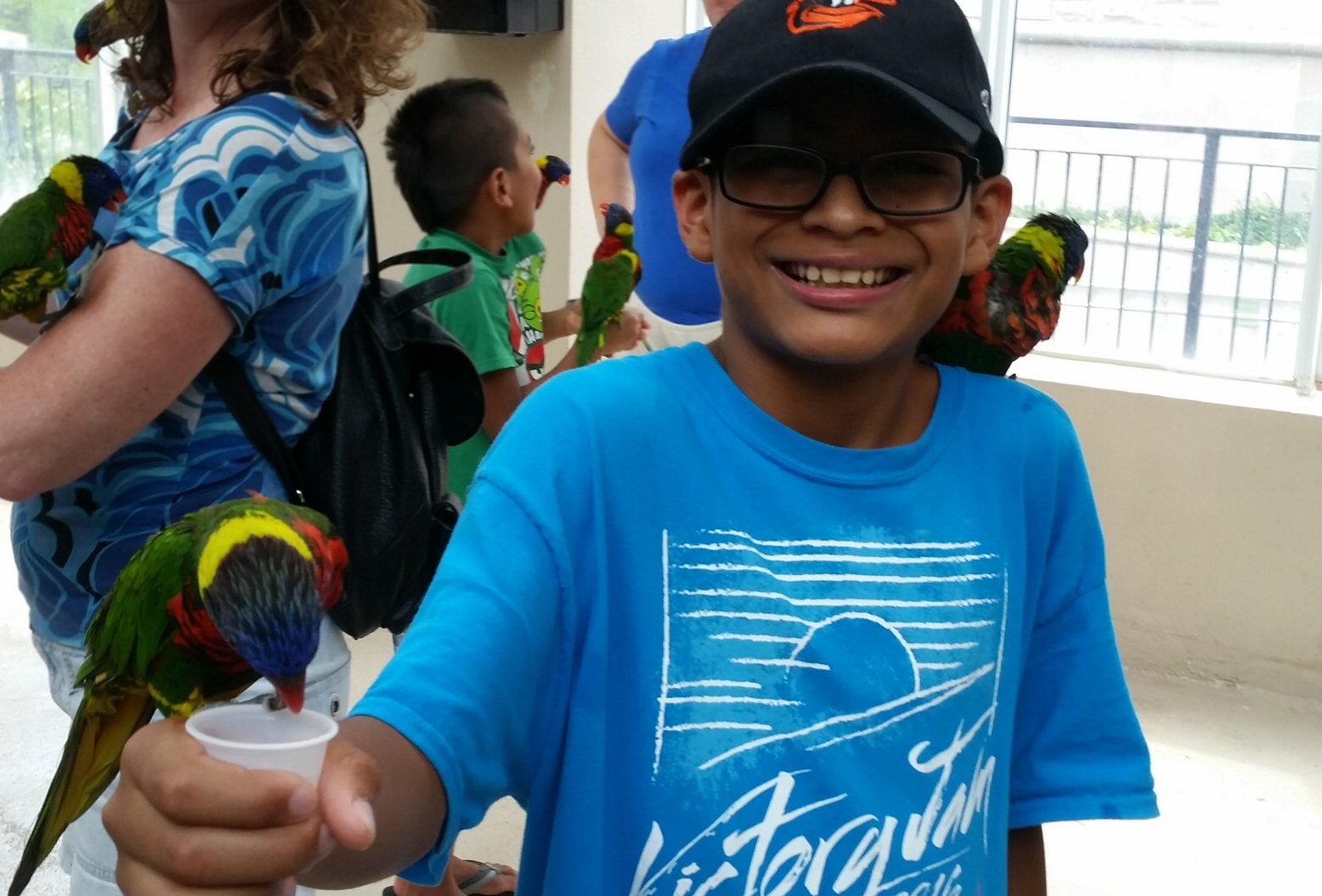 J Feeding the Lorikeets