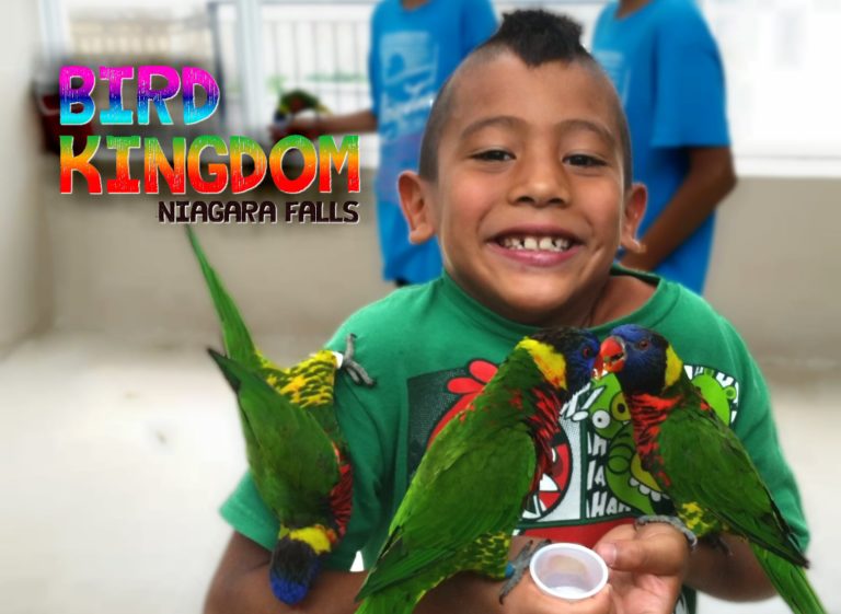 Bird Kingdom Review, Niagara Falls, Canada Packing for Seven