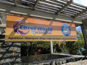 10 Awesome Things to Do - St. Thomas & St. John, US Virgin Islands